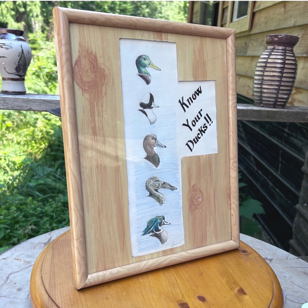 Vintage Know Your Ducks Original Colored Pencil Drawing Framed Art Hendricks